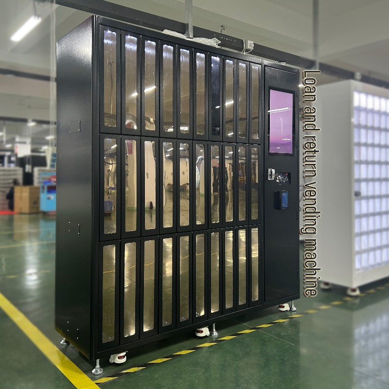 Dostosowane narzędzia do wypoż – Sports Equipment Locker recenzja i cena