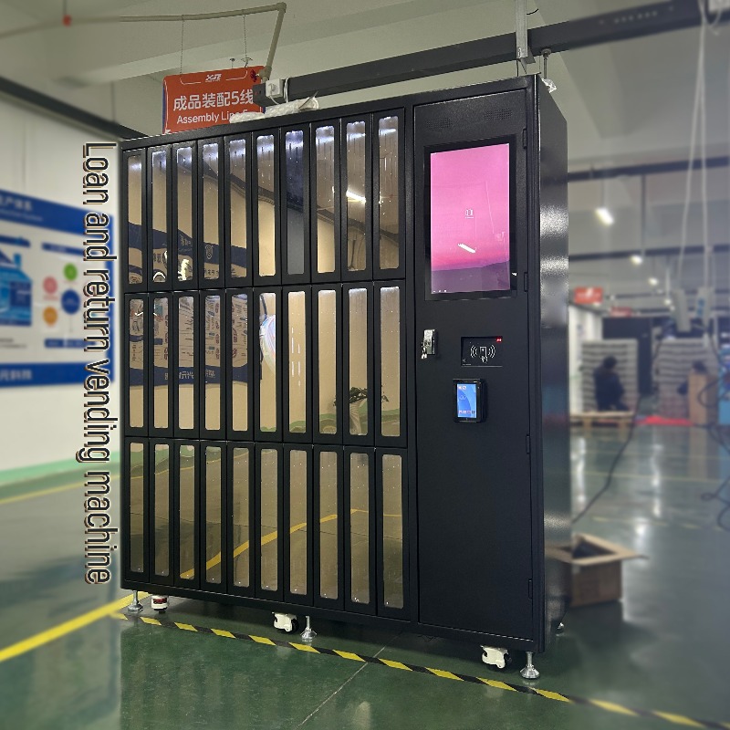 Dostosowane narzędzia do wypoż – Sports Equipment Locker recenzja i cena