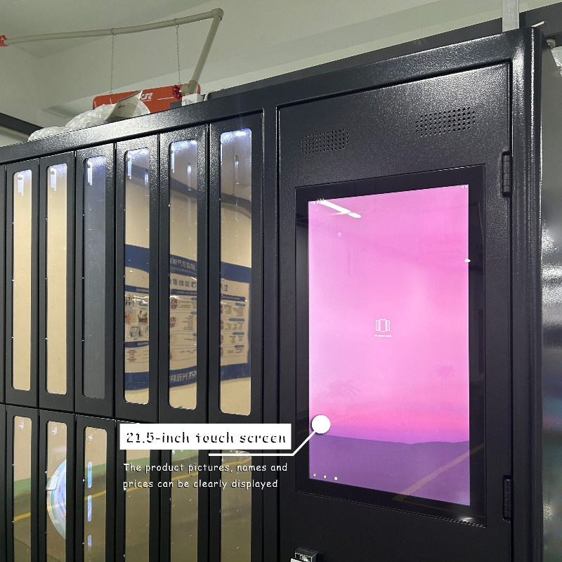 Dostosowane narzędzia do wypoż – Sports Equipment Locker recenzja i cena