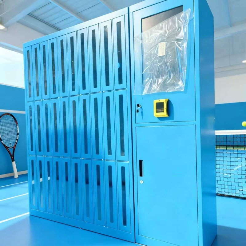 Niestandardowe, wysokiej jakoś – Sports Equipment Locker recenzja i cena